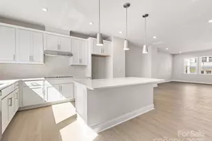 808 Flintside Ln, Charlotte, NC 28217 - Photo 14