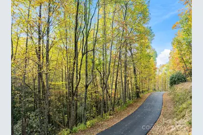 99999 Lytle Cove Road, Swannanoa, NC 28778 - Photo 10