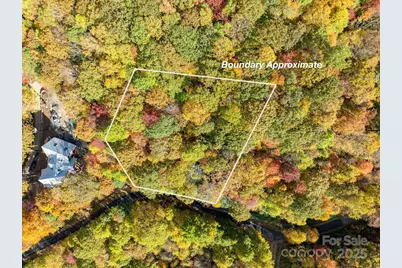 99999 Lytle Cove Road, Swannanoa, NC 28778 - Photo 6