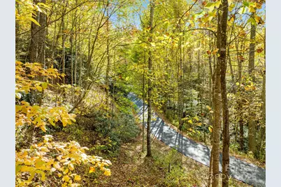 99999 Lytle Cove Road, Swannanoa, NC 28778 - Photo 4