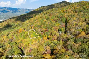 99999 Lytle Cove Rd, Swannanoa, NC 28778 - Photo 1