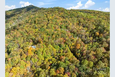 99999 Lytle Cove Road, Swannanoa, NC 28778 - Photo 16