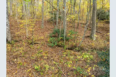 99999 Lytle Cove Road, Swannanoa, NC 28778 - Photo 12