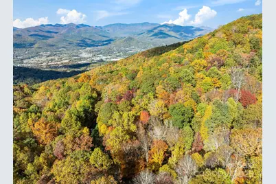 99999 Lytle Cove Road, Swannanoa, NC 28778 - Photo 18