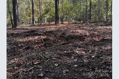 00 Hayes Mill Road #A-1, Granite Falls, NC 28630 - Photo 4