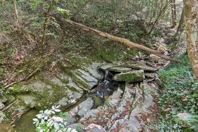 280 Panhandle Road, Marshall, NC 28753 - Photo 32