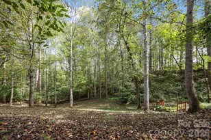 40 Mountain Shadows Dr, Leicester, NC 28748 - Photo 32