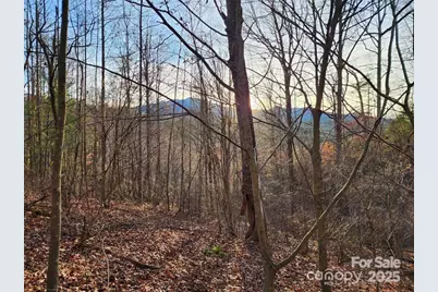 433 Deneen Road, Burnsville, NC 28714 - Photo 28