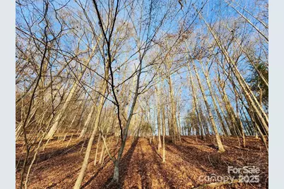 433 Deneen Road, Burnsville, NC 28714 - Photo 26