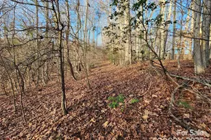 433 Deneen Rd, Burnsville, NC 28714 - Photo 22