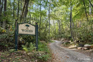 1299 Pine Ridge Rd, Burnsville, NC 28714 - Photo 28