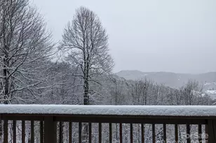 1299 Pine Ridge Rd, Burnsville, NC 28714 - Photo 34