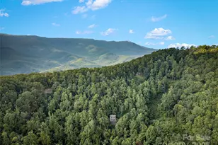 1299 Pine Ridge Rd, Burnsville, NC 28714 - Photo 2