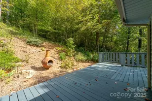 1168 N Country Clb Dr, Cullowhee, NC 28723 - Photo 36