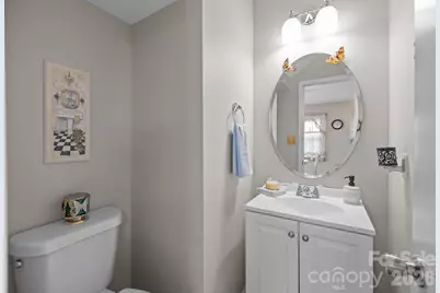 7601 Swedish Ivy Lane, Charlotte, NC 28227 - Photo 12