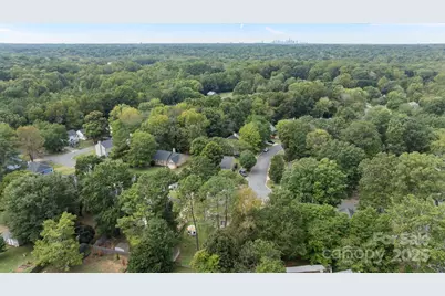 7601 Swedish Ivy Lane, Charlotte, NC 28227 - Photo 32
