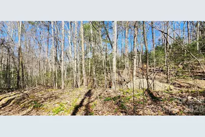 0 Buffalo Creek Road #74, Lake Lure, NC 28746 - Photo 16