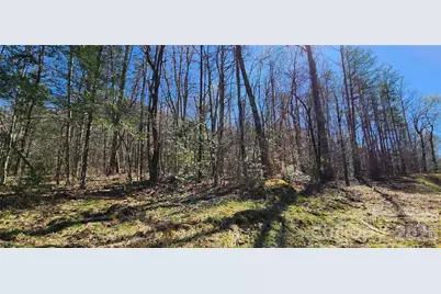 0 Buffalo Creek Road #74, Lake Lure, NC 28746 - Photo 18