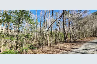 0 Buffalo Creek Road #74, Lake Lure, NC 28746 - Photo 26