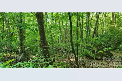 0 Buffalo Creek Road #74, Lake Lure, NC 28746 - Photo 38