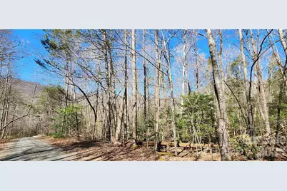 0 Buffalo Creek Road #74, Lake Lure, NC 28746 - Photo 40
