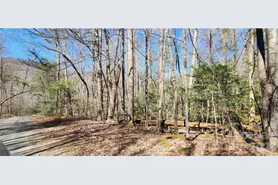 0 Buffalo Creek Road #74, Lake Lure, NC 28746 - Photo 42