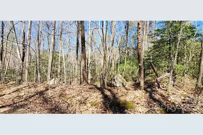 0 Buffalo Creek Road #74, Lake Lure, NC 28746 - Photo 28