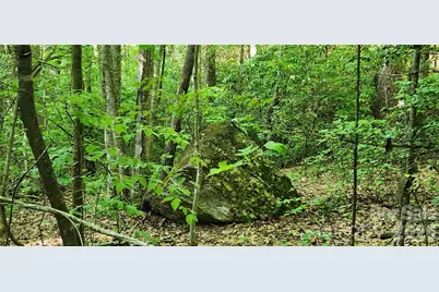 0 Buffalo Creek Road #74, Lake Lure, NC 28746 - Photo 36