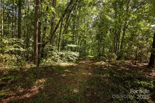 8430 Reeps Grove Church Rd, Vale, NC 28168 - Photo 40