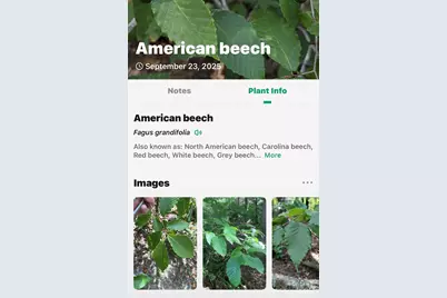 366 Boland Drive, Lake Lure, NC 28746 - Photo 40