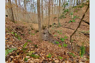 366 Boland Drive, Lake Lure, NC 28746 - Photo 8