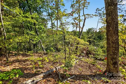 366 Boland Drive, Lake Lure, NC 28746 - Photo 10