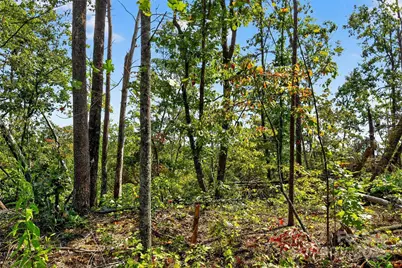 366 Boland Drive, Lake Lure, NC 28746 - Photo 4