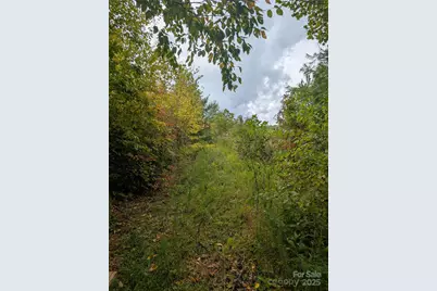 97 Settings Boulevard, Black Mountain, NC 28711 - Photo 8