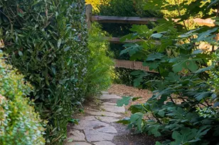 79 Horizon Hill Rd, Asheville, NC 28804 - Photo 48