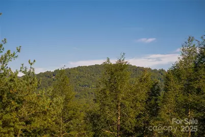 79 Horizon Hill Road, Asheville, NC 28804 - Photo 38