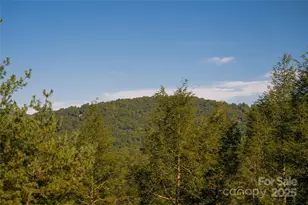 79 Horizon Hill Rd, Asheville, NC 28804 - Photo 38