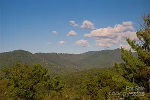 79 Horizon Hill Rd, Asheville, NC 28804 - Photo 4