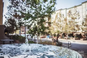 92 Senator Reynolds Rd, Asheville, NC 28804 - Photo 6