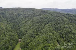 8020 Meadow Fork Rd, Hot Springs, NC 28743 - Photo 6