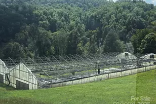 8020 Meadow Fork Rd, Hot Springs, NC 28743 - Photo 14