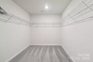 299 Hamptons Cove Rd, Troutman, NC 28166 - Photo 32