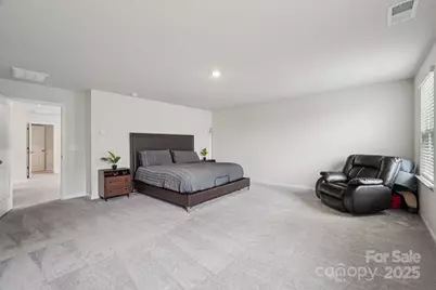 299 Hamptons Cove Road, Troutman, NC 28166 - Photo 28