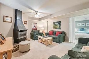 110 Aurora Dr, Asheville, NC 28805 - Photo 32