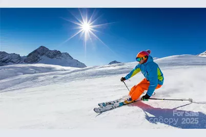 419 Snowcloud Drive, Seven Devils, NC 28604 - Photo 28