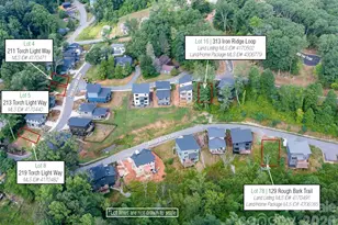 313 Iron Ridge Loop, Asheville, NC 28806 - Photo 8