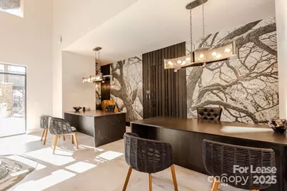 3110 Doe River Way #Chadwick, Matthews, NC 28105 - Photo 10