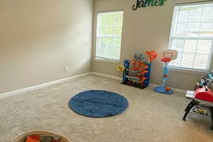 8659 Wandering Creek Way, Charlotte, NC 28227 - Photo 16