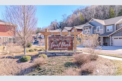 560 Sweet Birch Park Lane, Black Mountain, NC 28711 - Photo 42