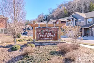 560 Sweet Birch Park Ln, Black Mountain, NC 28711 - Photo 42